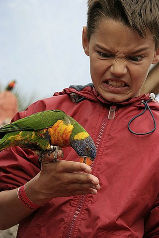 2005 Avifauna (33)